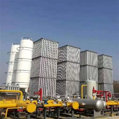 LNG Regasification پلانٽ